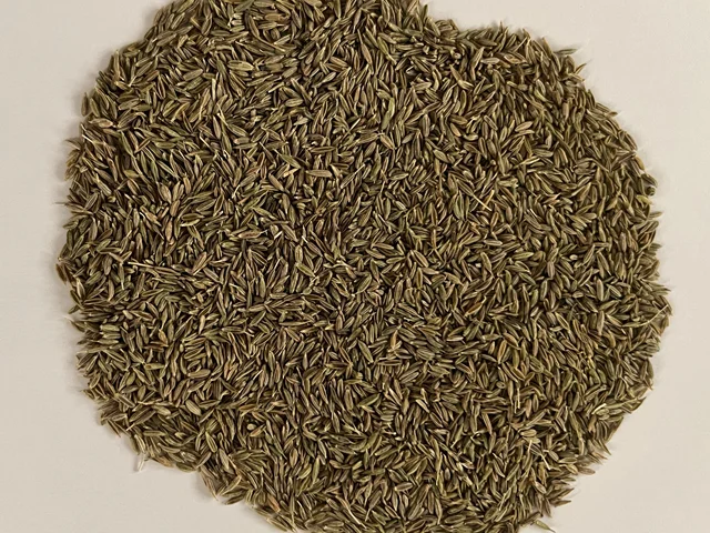 Iranian Cumin Seeds
